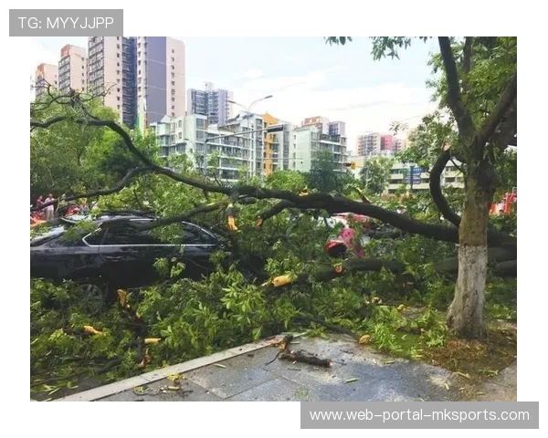 极端天气应对预案：意甲比赛延期与改期决策机制